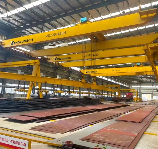 Double Girder Overhead Crane