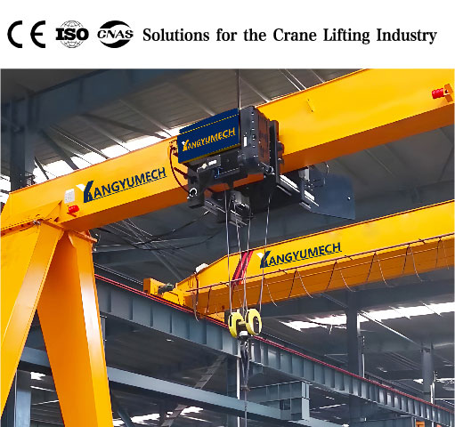 European Standard Electric Hoist